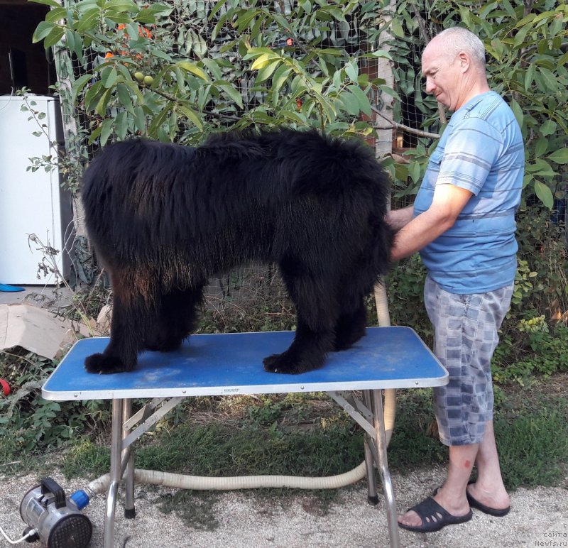 Фотография № 229295