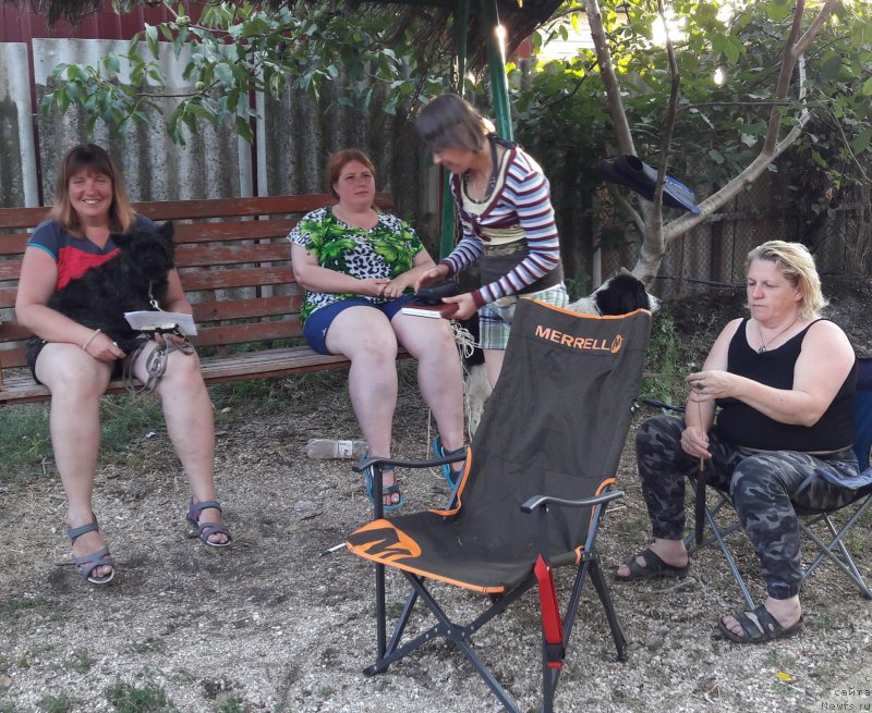 Фотография № 229296