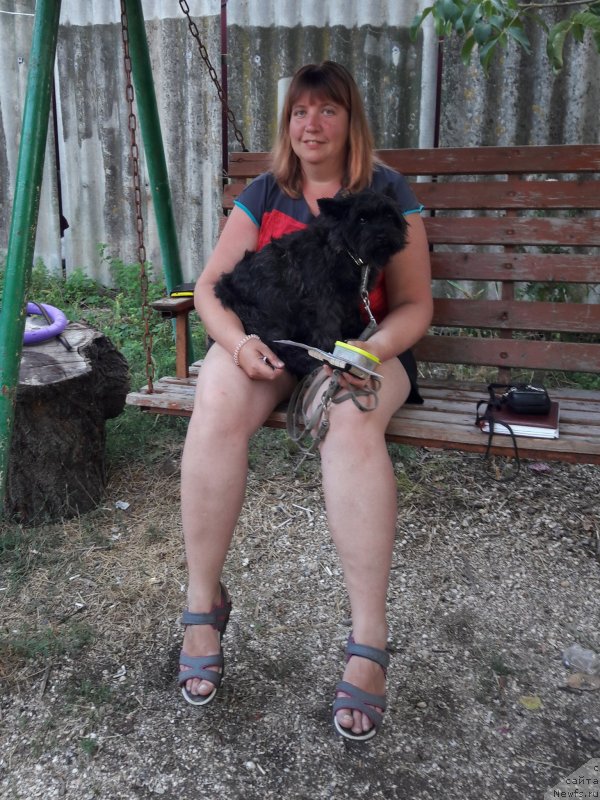 Фотография № 229297