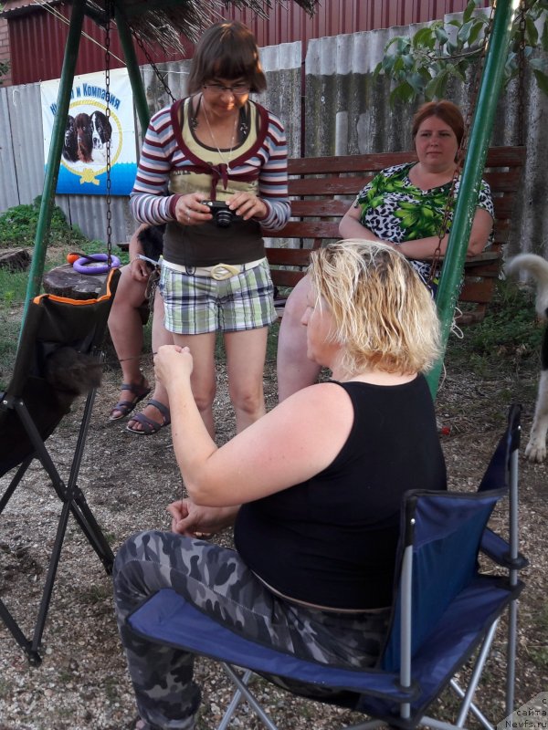 Фотография № 229299