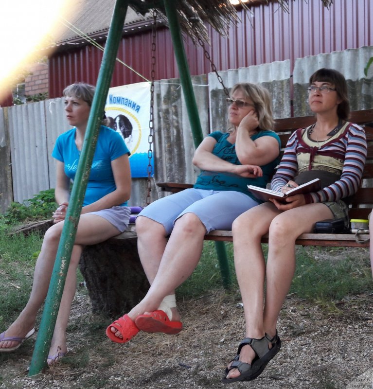 Фотография № 229302