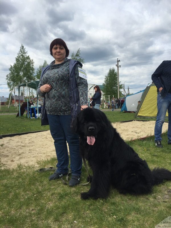 Фотография № 229326