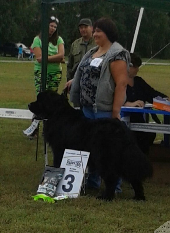 Фото: ньюфаундленд Максимилиан Наследный Принц, Наталия Прокудина