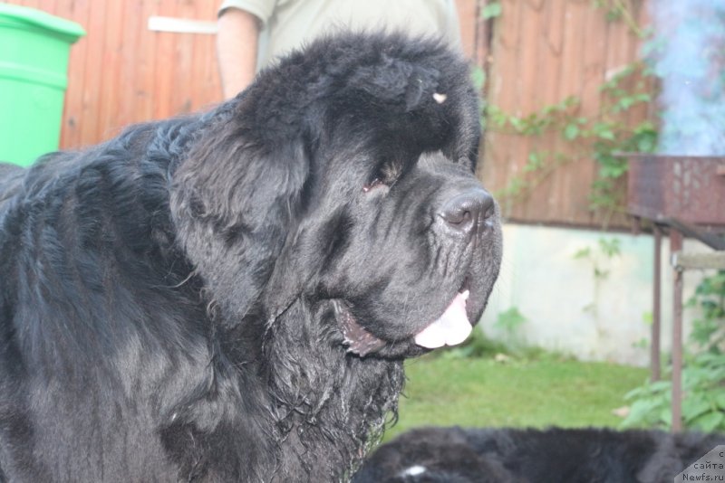 Фотография № 229331