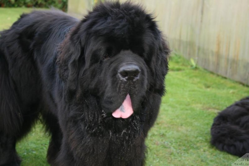 Фотография № 229332