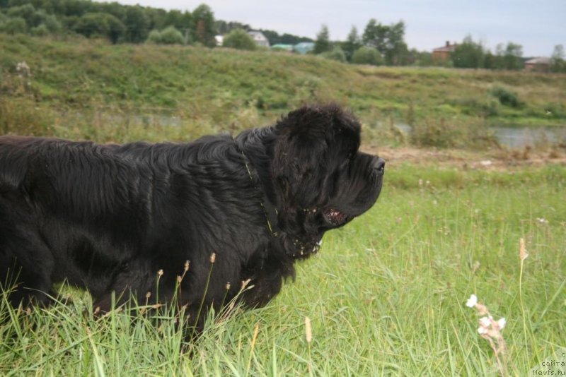 Фотография № 229334