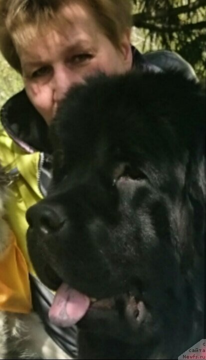 Фото: Римма Кротик