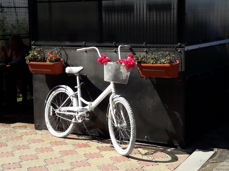 Фотография № 229351