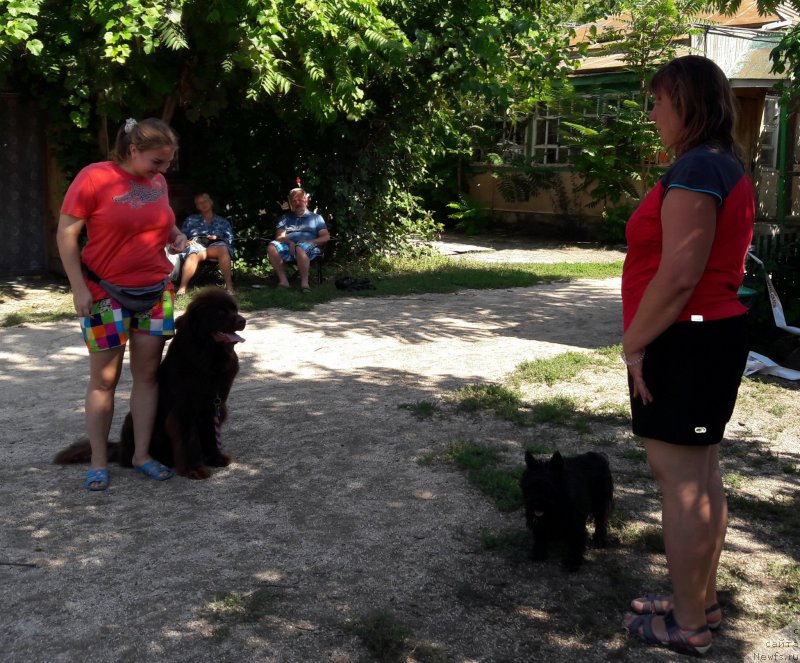 Фотография № 229354