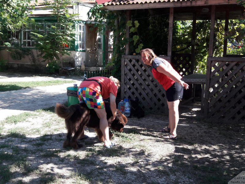 Фотография № 229355