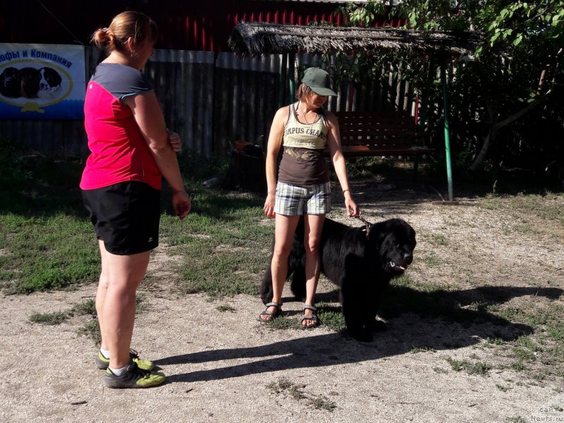 Фотография № 229357