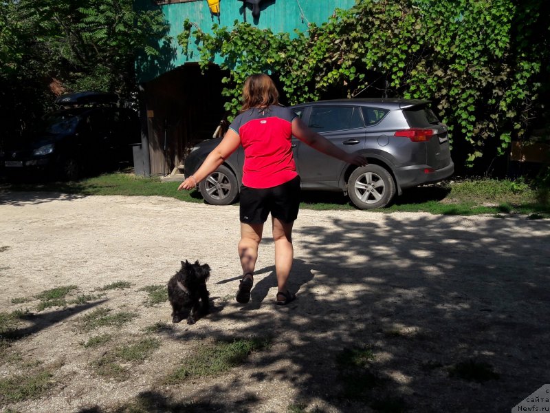 Фотография № 229358