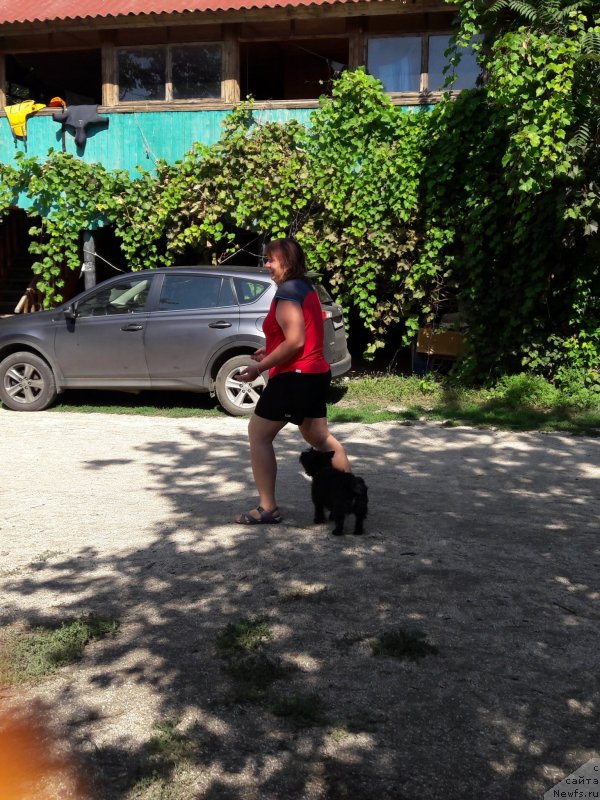 Фотография № 229360