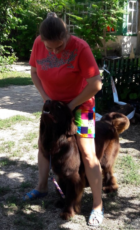 Фотография № 229369