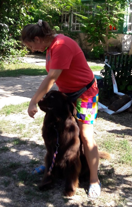 Фотография № 229370