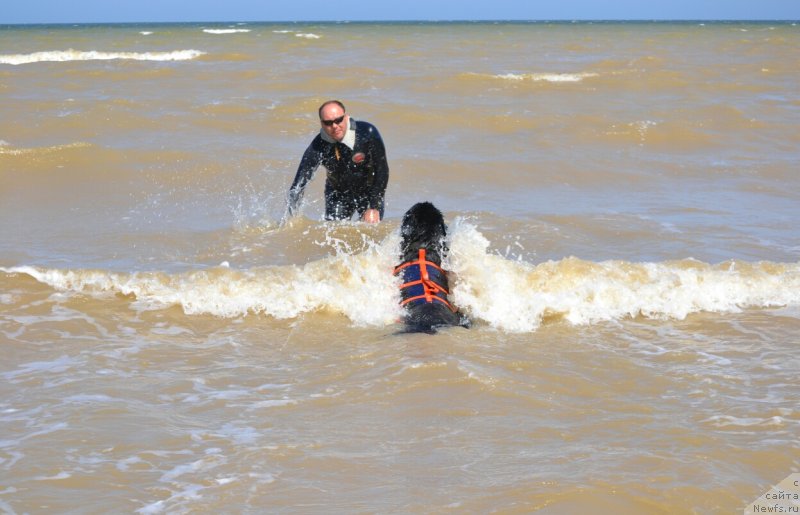 Фотография № 229371