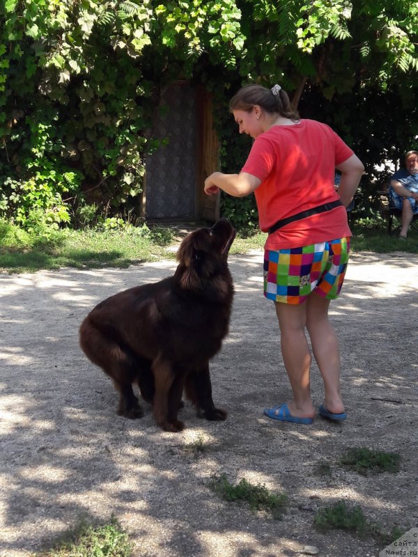 Фотография № 229372