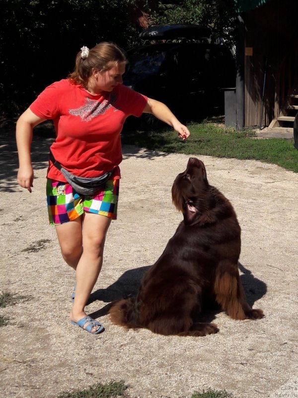 Фотография № 229374