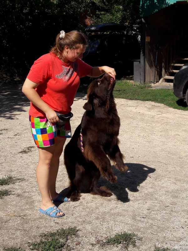 Фотография № 229375