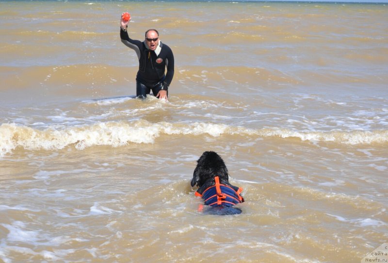 Фотография № 229377