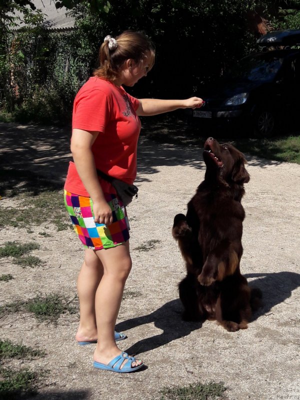 Фотография № 229378