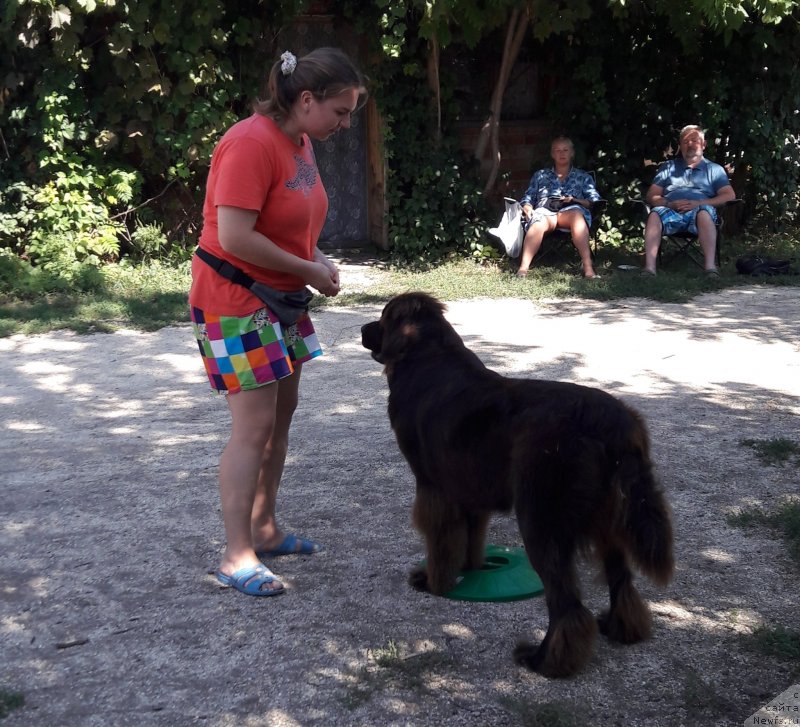 Фотография № 229381