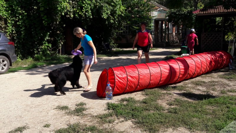 Фотография № 229385