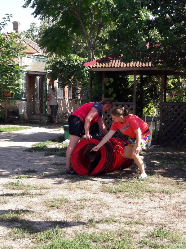 Фотография № 229386