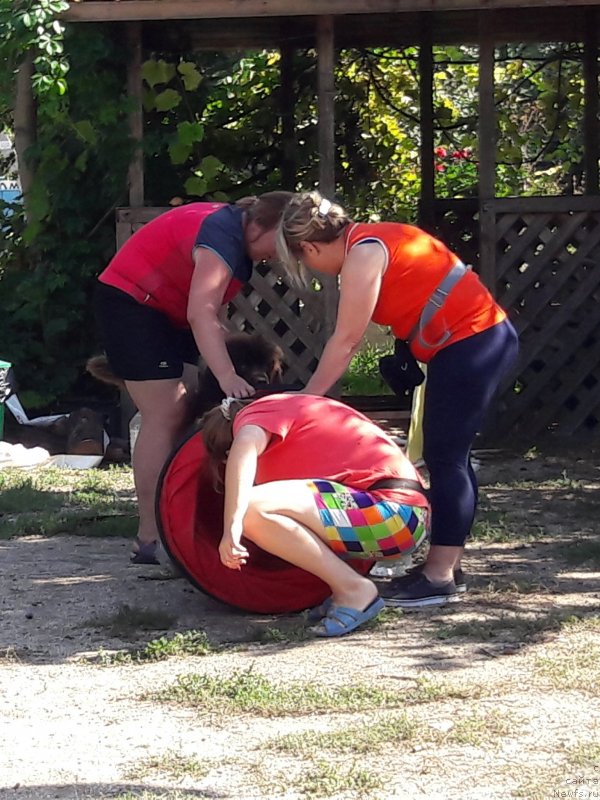 Фотография № 229387