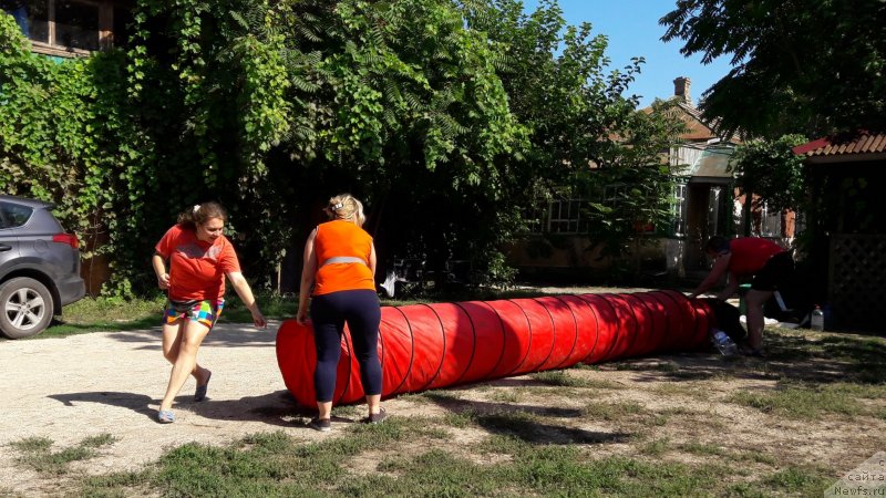 Фотография № 229389