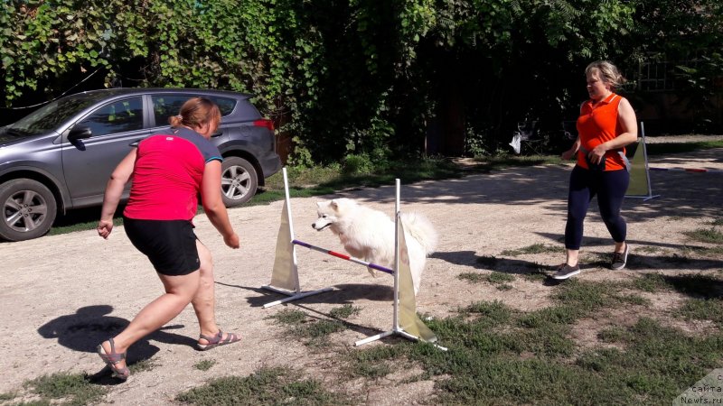 Фотография № 229390