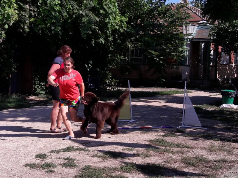 Фотография № 229394