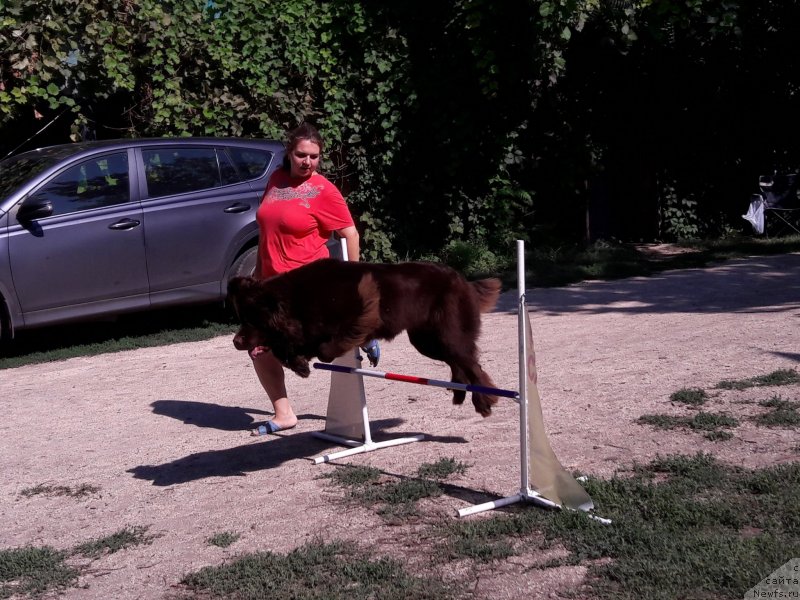 Фотография № 229397