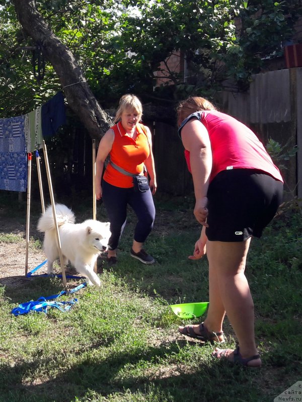 Фотография № 229398