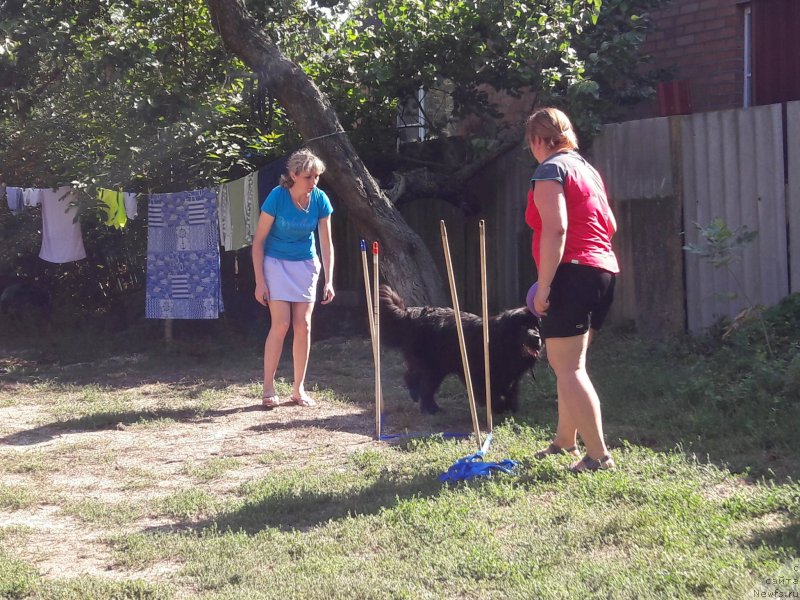 Фотография № 229399