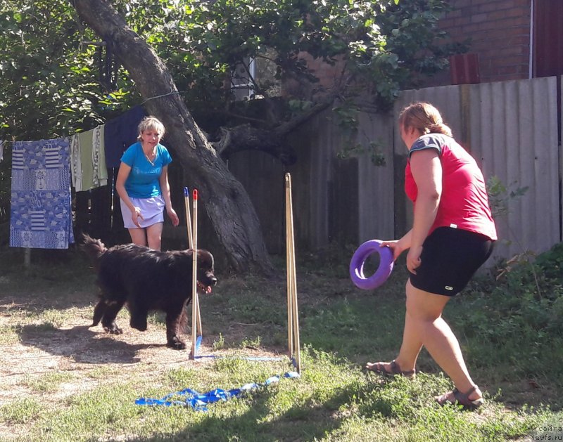 Фотография № 229400