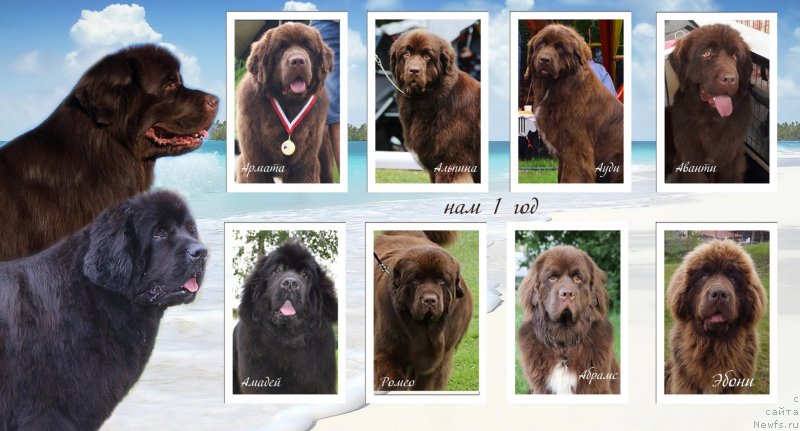 Фотография № 229405