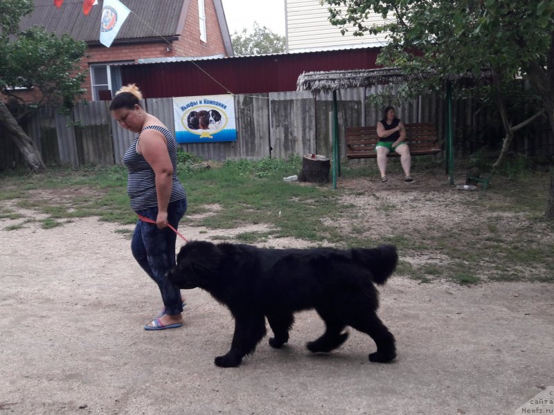 Фотография № 229414