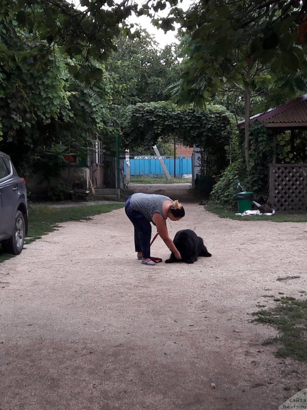 Фотография № 229415