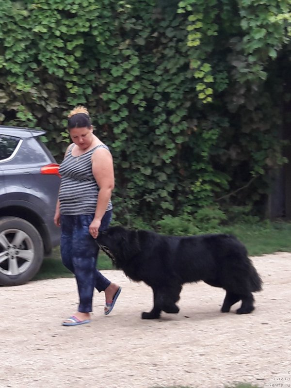 Фотография № 229416