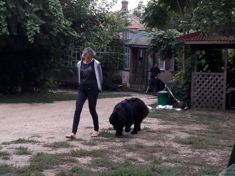 Фотография № 229418