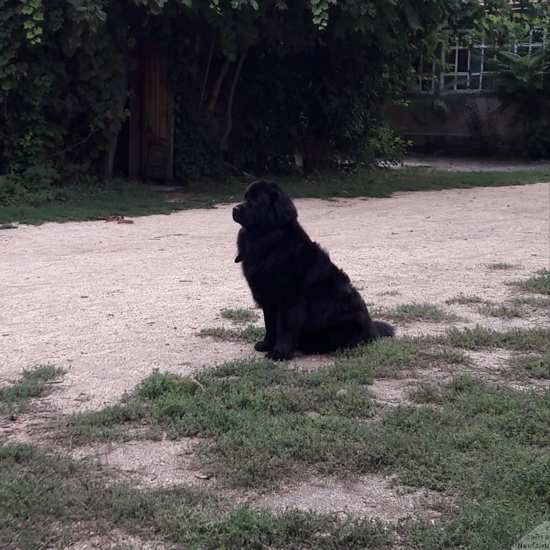 Фотография № 229419