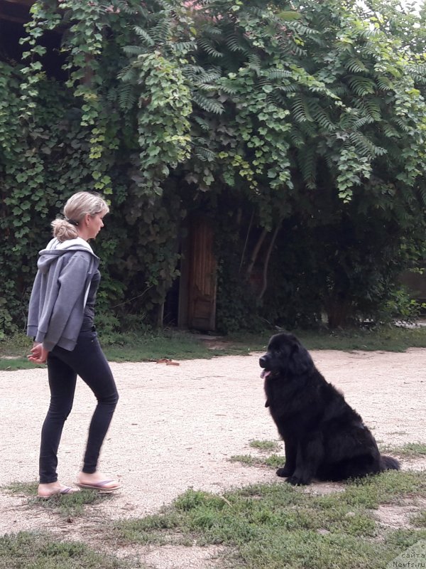 Фотография № 229420