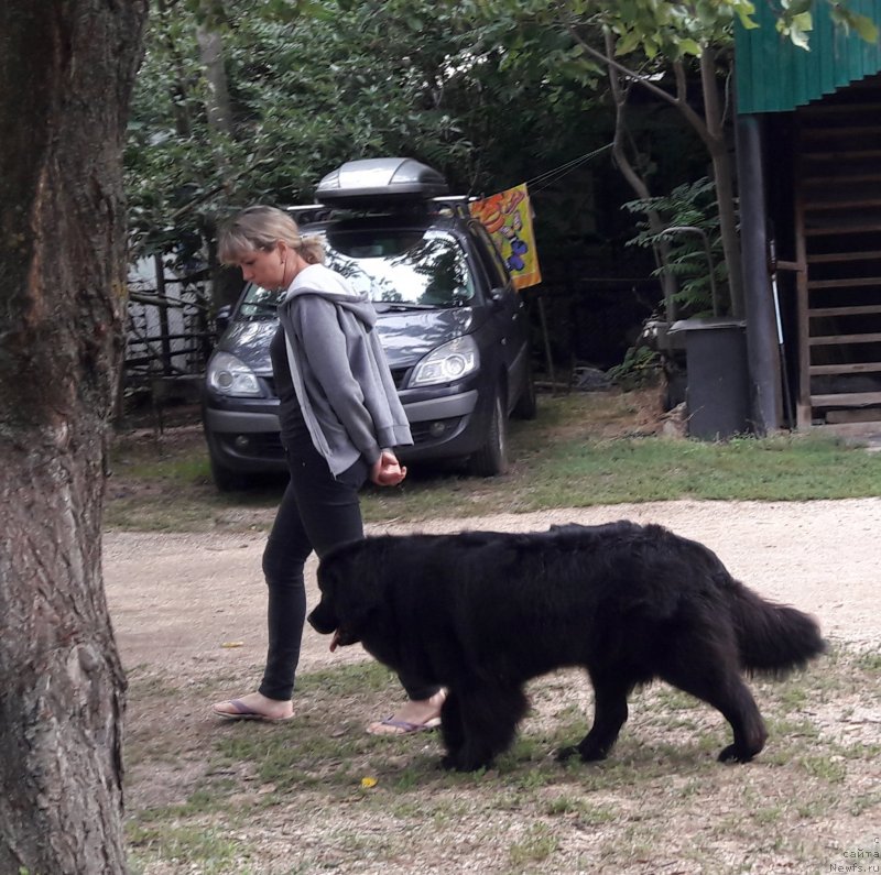 Фотография № 229421