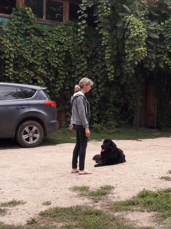 Фотография № 229423