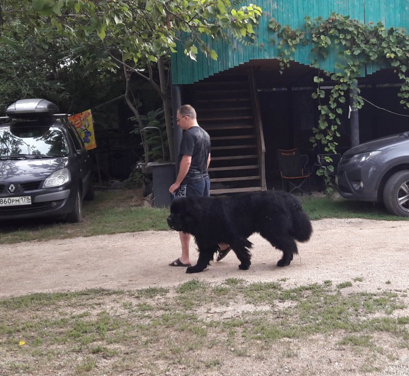 Фотография № 229425