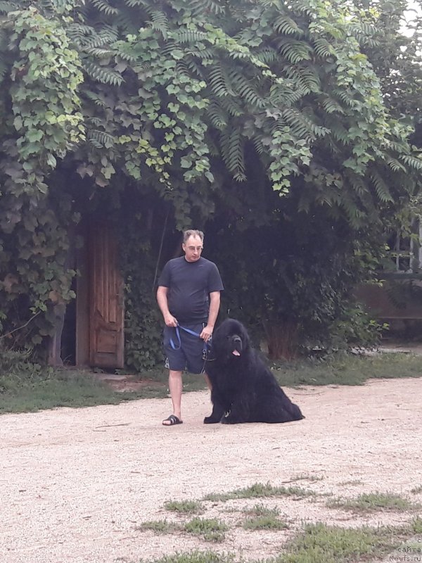 Фотография № 229426