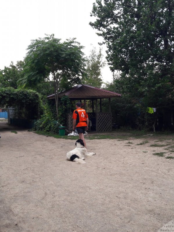 Фотография № 229429