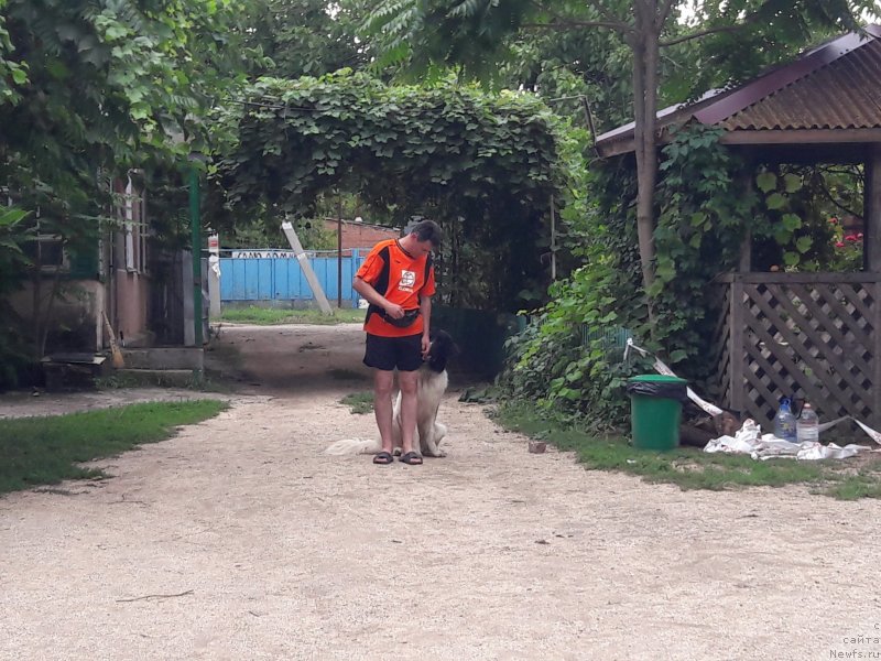 Фотография № 229430