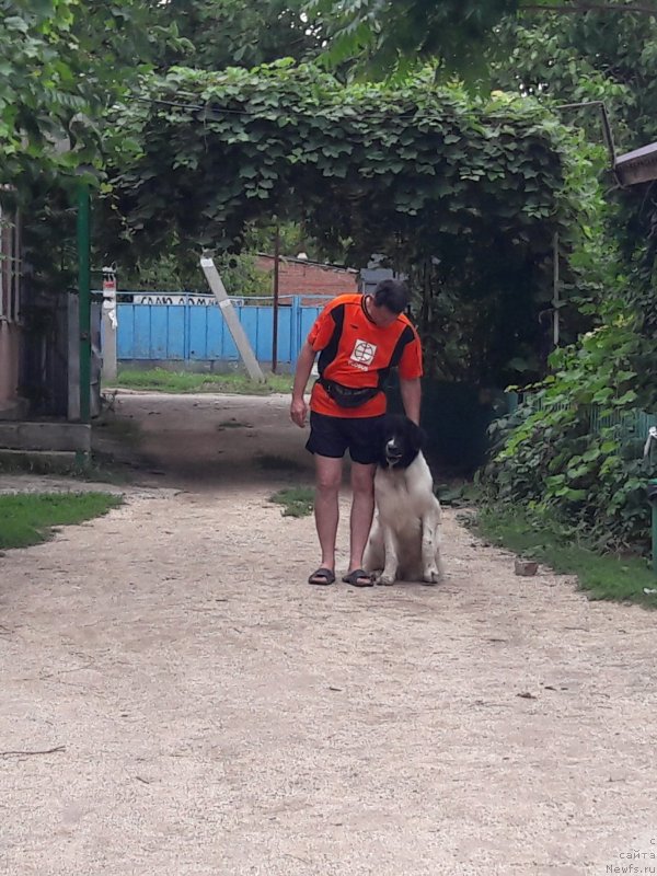 Фотография № 229431